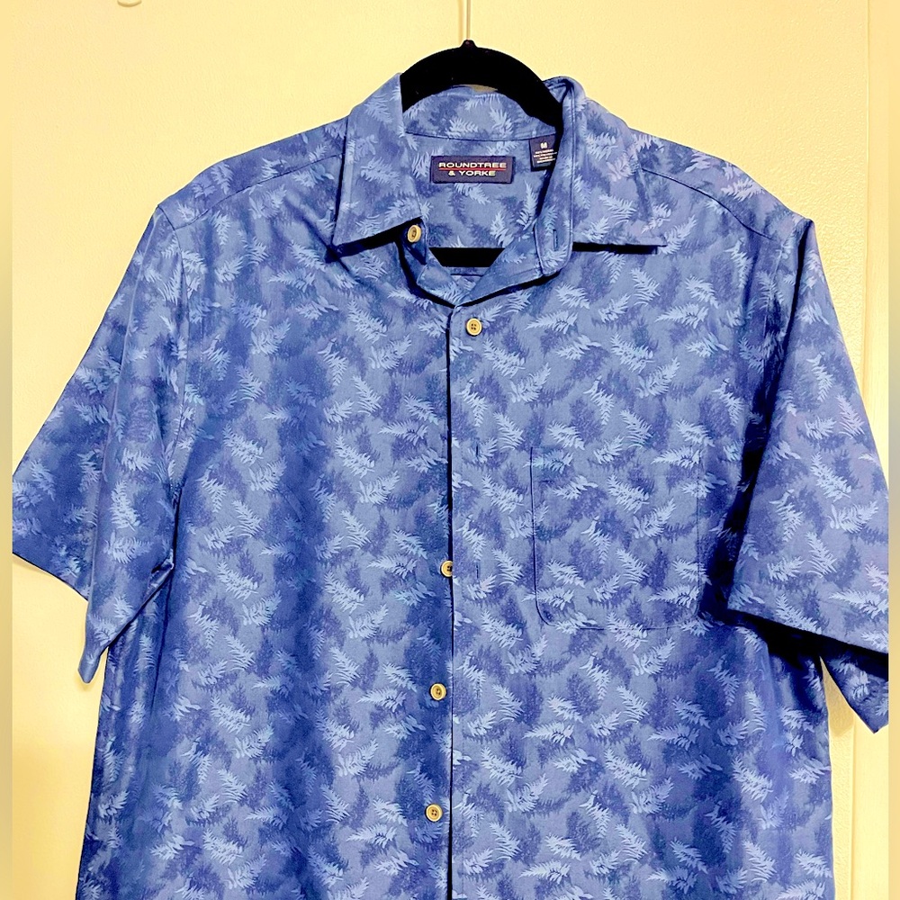 Winter  button down